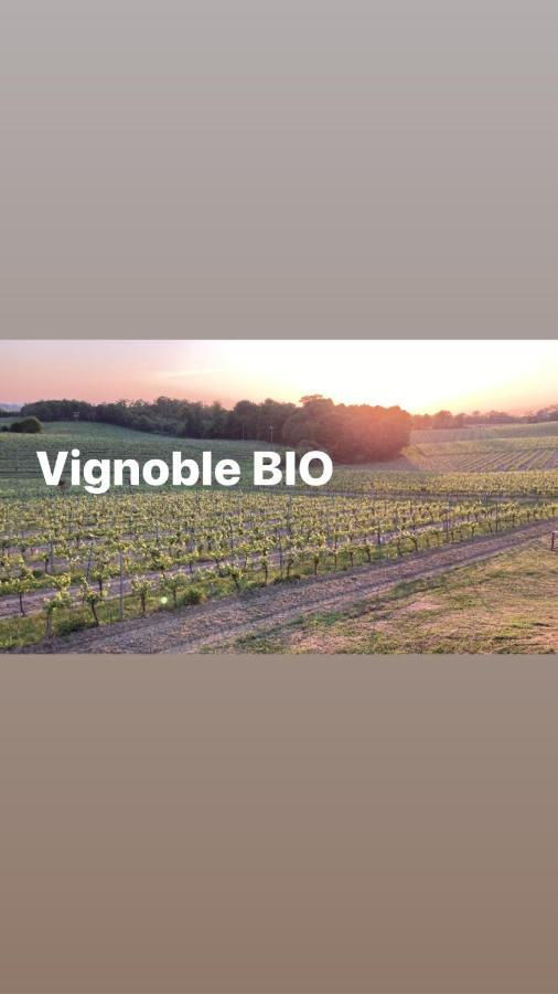 Gite Les Vignes Cravenceres Εξωτερικό φωτογραφία