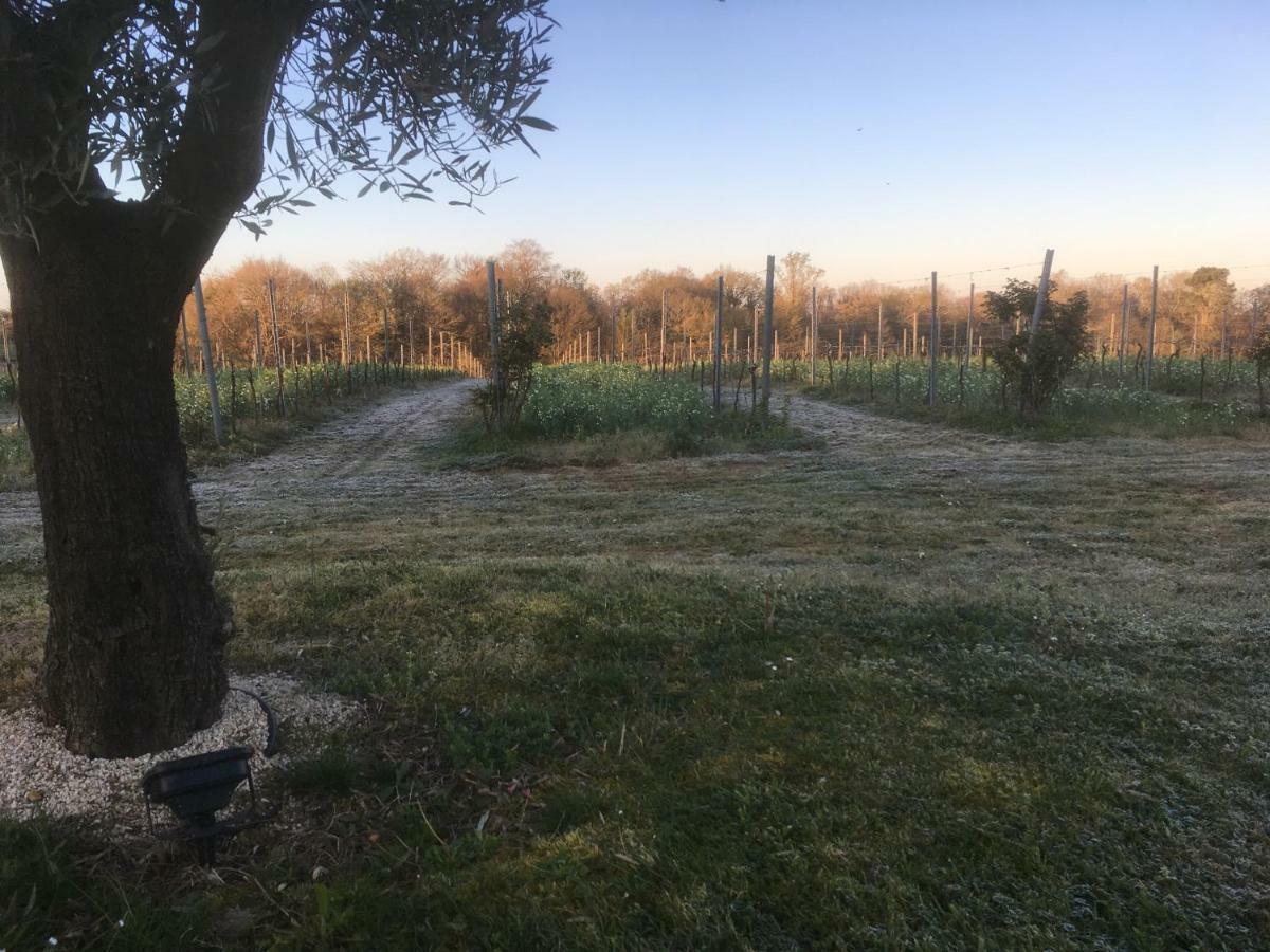 Gite Les Vignes Cravenceres Εξωτερικό φωτογραφία